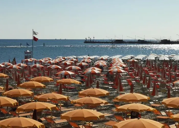 فندق Cristoforo Colombo 3*